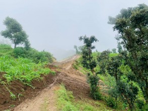 बैतडीको श्रीभावर –हाट सडकमा पहिरो, दुई घर जोखिममा 